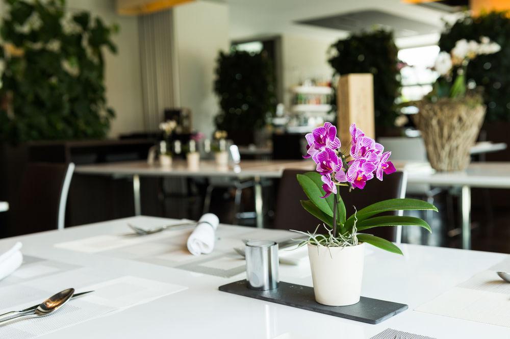 Hotel Apart - Welcoming L Urban Feel L Design Risch-Rotkreuz المظهر الخارجي الصورة